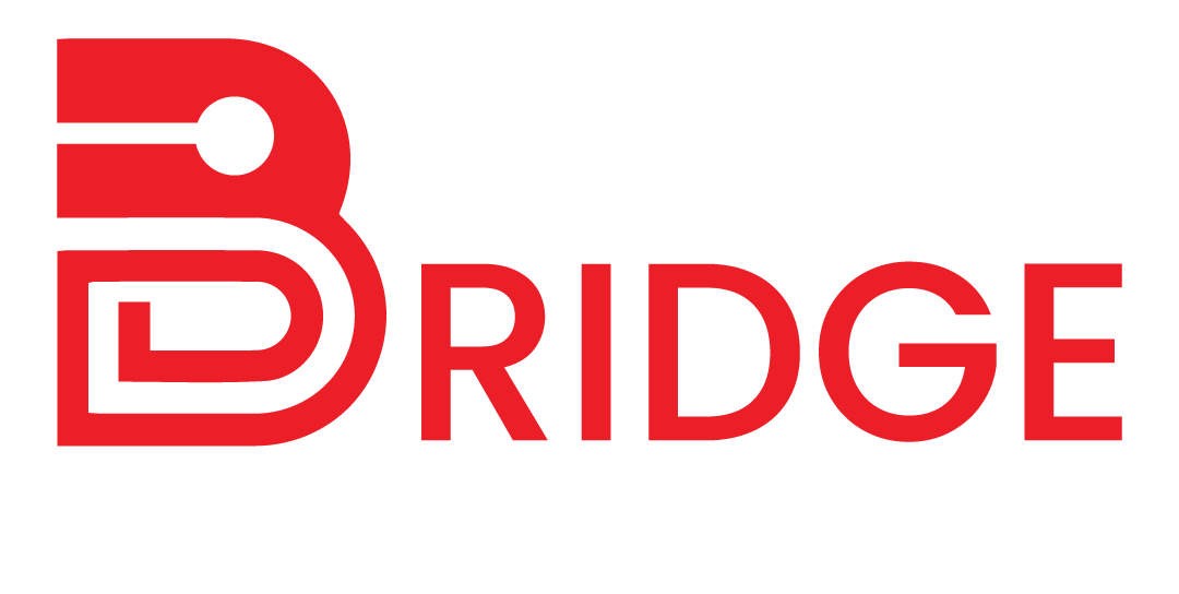Binary Bridge IT Solutions